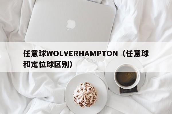 任意球WOLVERHAMPTON(任意球和定位球区别)