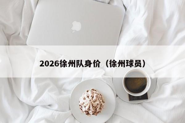 2026徐州队身价（徐州球员）